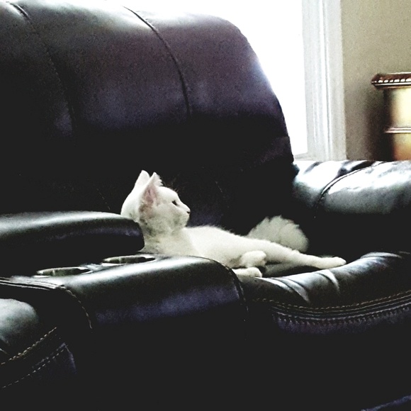 Meet your Posher, Patrick - Picture 1 of 1